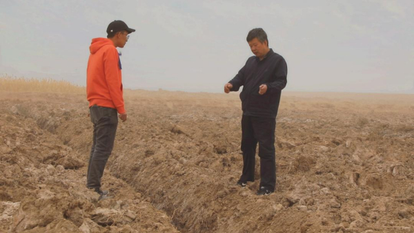 呼和木独镇：盐碱地上的试验田 农民增收的新期盼