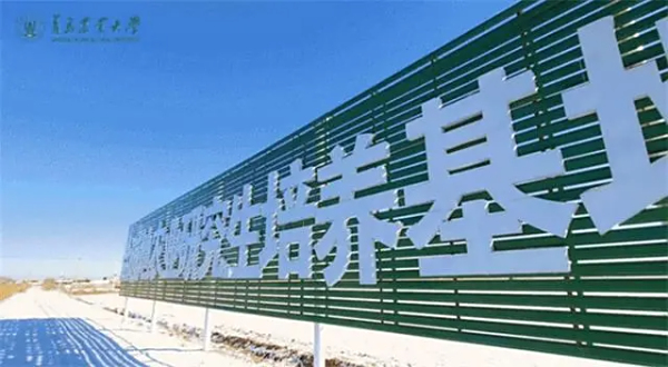 青岛农业大学：行走在黄河边的农大人 耕耘在盐碱地上的15年