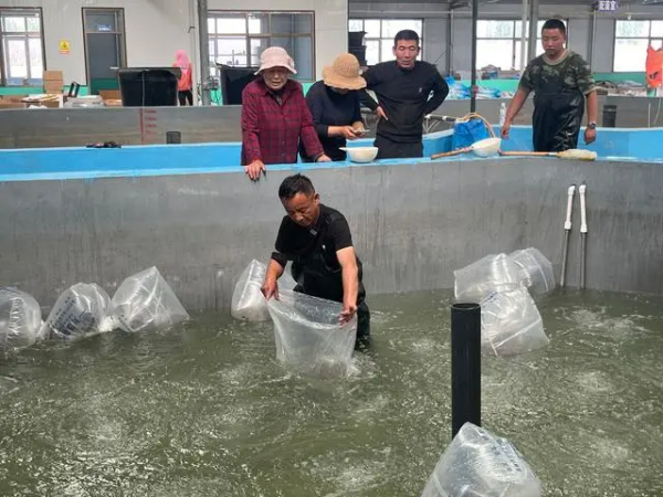 乡村行 看振兴｜甘肃景泰：黄土高原水上春耕正当时