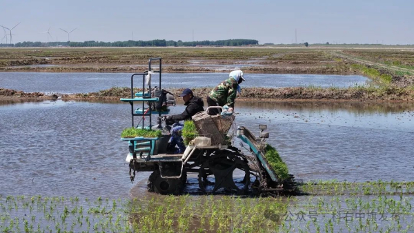 缚黄锁沙展新颜 ——科右中旗科尔沁沙地治理有序推进
