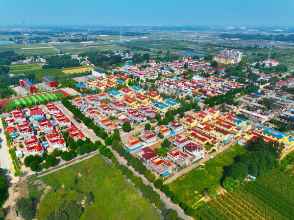 四箭齐发让近900万亩盐碱地尽快成为“后备粮仓”！山东：到2035年改造提升盐碱耕地410万亩