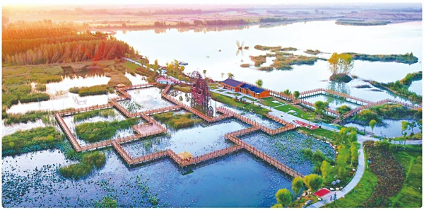 山东沾化：盐碱滩上“长”出“致富虾”