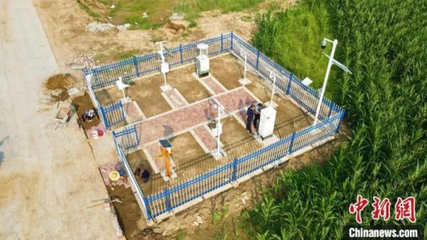 预计年增产130万公斤 河北南皮改良1万余亩盐碱地