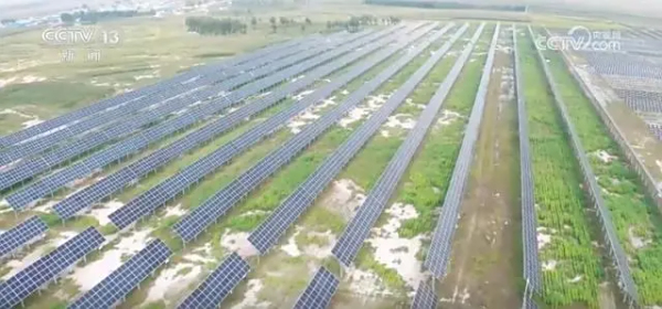 大港油田深研盐碱地治理 让“绿化禁区”蝶变生态标杆