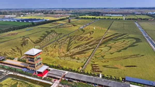 三峡集团以农业新质生产力为引擎助力乡村振兴