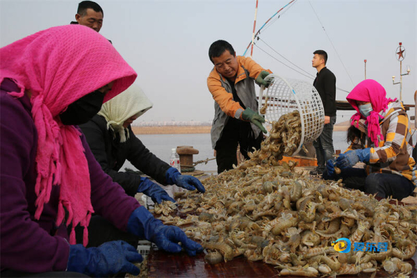耕海牧渔，守护“蓝色粮仓”——我市盐碱地渔业高质量发展全面起势
