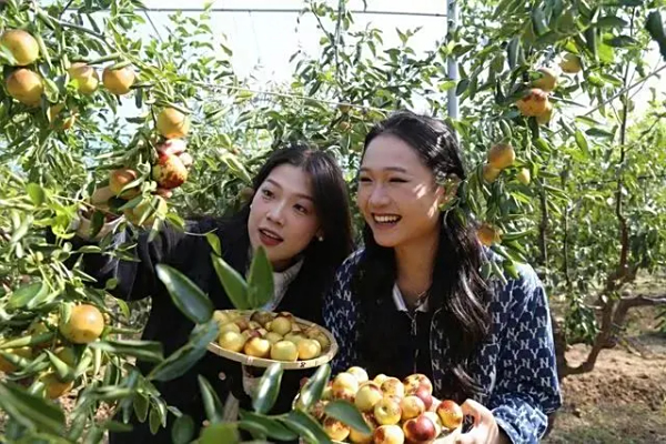 山东滨州：盐碱地长出“新质生产力”