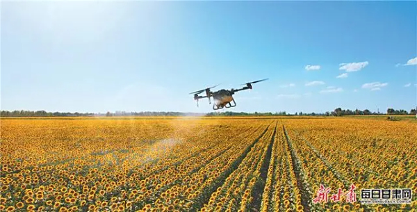 盐碱地变成丰产田——甘肃农垦饮马农场加强综合整治保护耕地