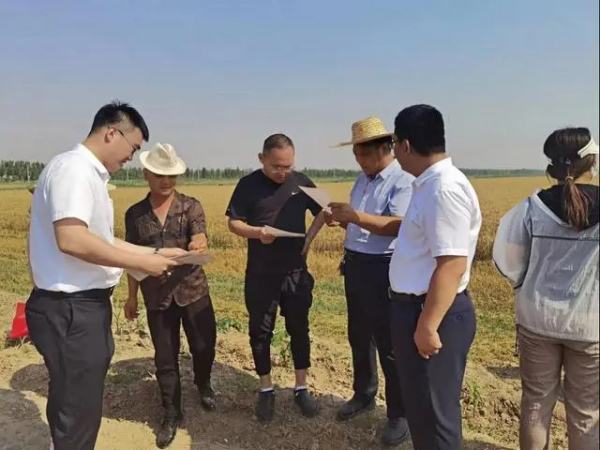 山东农担：新型银担业务助力盐碱地特色农业