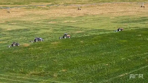 “小草+科技”，为盐碱化治理贡献“内蒙古方案”