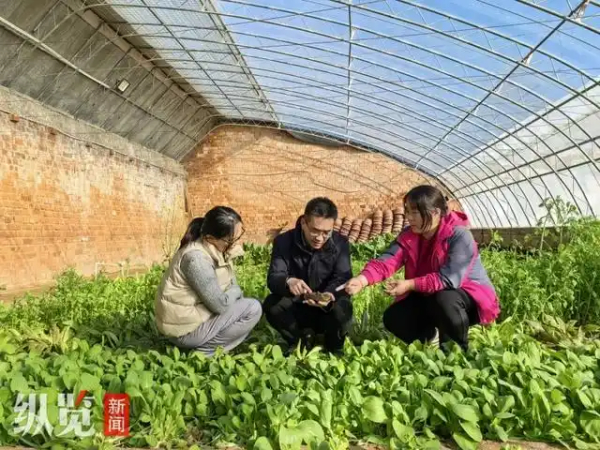 省政协委员胡栋：为盐碱地综合利用寻良策