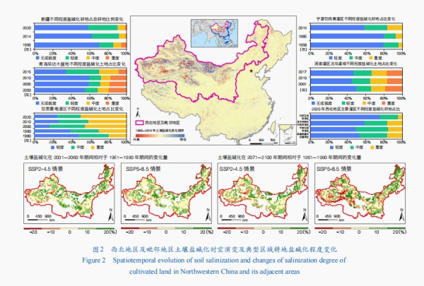统筹推进西北地区盐碱地综合治理利用：现状、挑战与对策建议