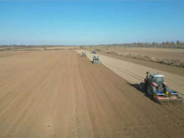 农发行山东省分行：聚焦“大国粮仓” 助力无棣盐碱地改良提升