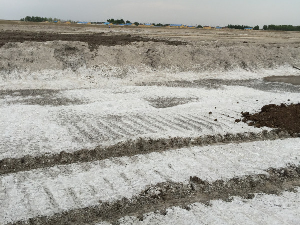 禾康盐碱清除剂试验小结（新疆哈密）