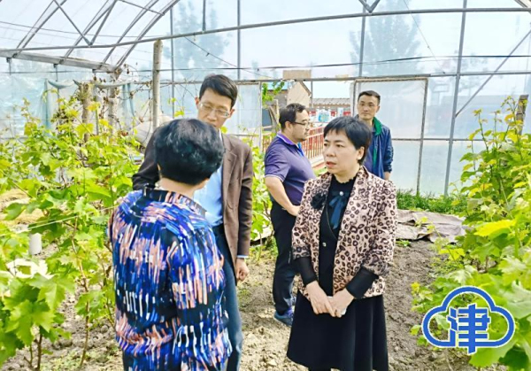 全国人大代表周潮洪：积极推进滨海地区盐碱地改良利用 