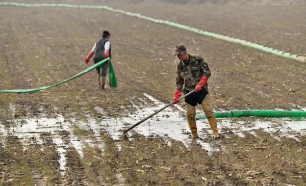 一年之计｜盐碱地变“聚宝盆”唤醒“沉睡”土地资源