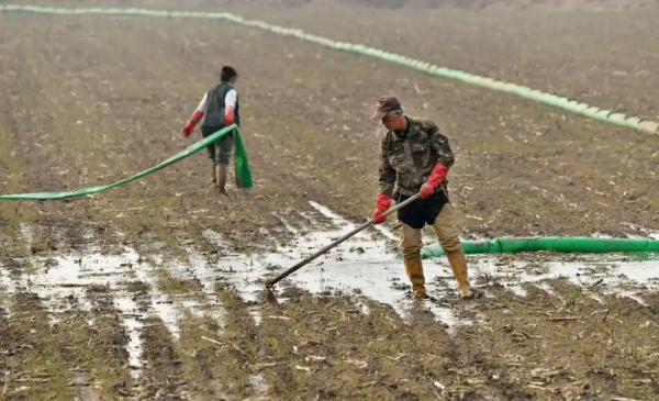 盐碱地变“聚宝盆”唤醒“沉睡”土地资源