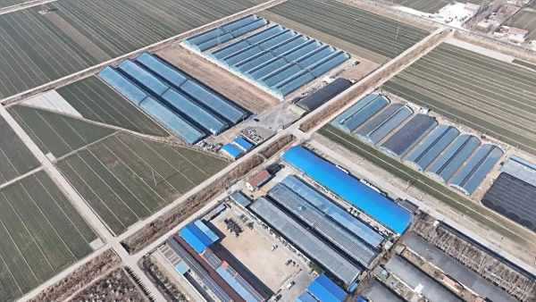 全面提高盐碱地综合利用水平