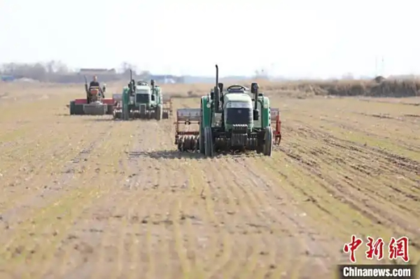 记者走基层｜改良盐碱田，就靠这根管