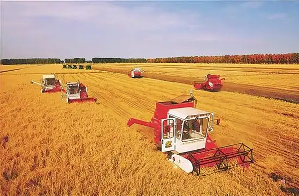 吉林油田盐碱地变形记：当石油红遇上黑土地