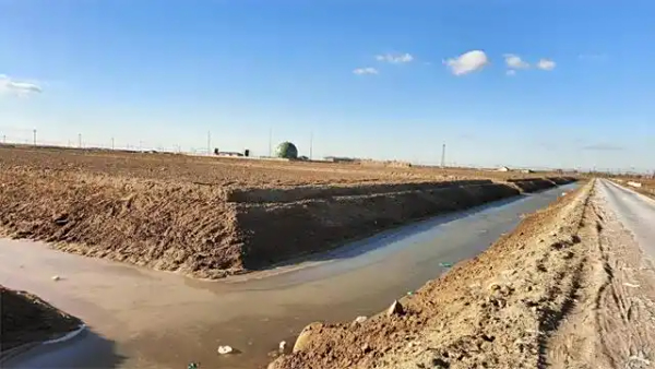 榆阳：抢抓时节攻坚盐碱地蹚出粮食增产新“稻”路