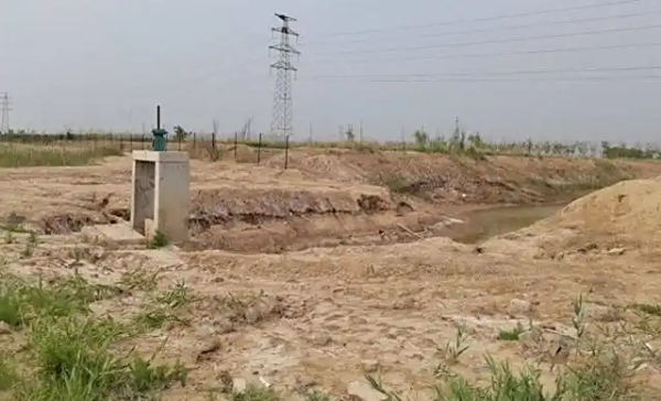 垦利街道：盐碱地轮作让冬闲田变增收田