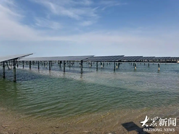 黄河行纪｜板上发电、板下养鱼，看东营盐碱滩涂如何变身“聚宝盆”