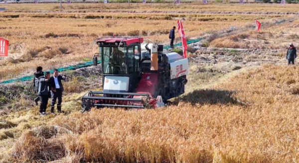 【人勤春来早 奋进正当时】科技赋能盐碱地 春耕育苗进行时