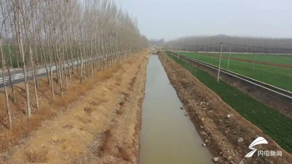 从“种啥不长”到“亩增600斤”！聊城茌平7万余亩耕地靠科技破“碱”重生