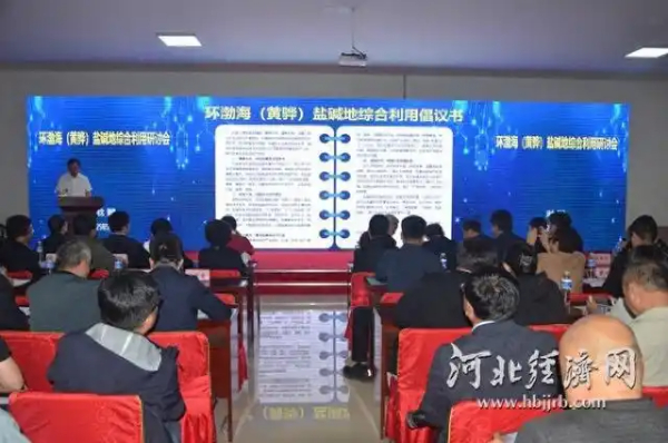 攻克“卡脖子”难题 河北推动盐碱地资源向绿色产业转化