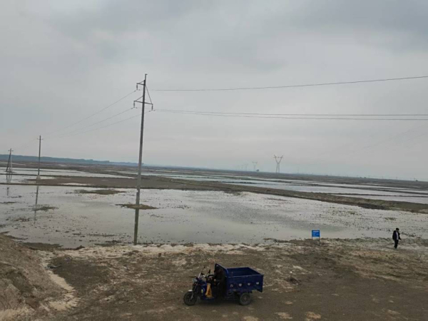 黑龙江大庆：盐碱地改造项目助不毛之地飘出稻花香