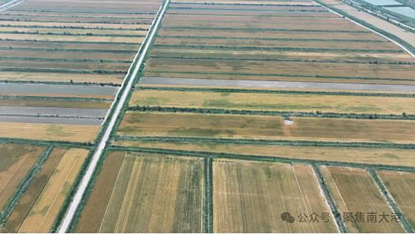 南大港产业园区：科技赋能推进盐碱地综合利用