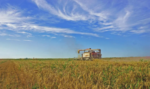 全国土地日 | 那些荒地、盐碱地，如何治？
