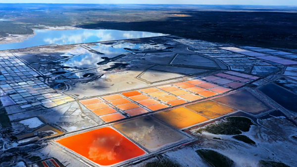 陕西榆林市定边县：盐碱地里“种”海鲜