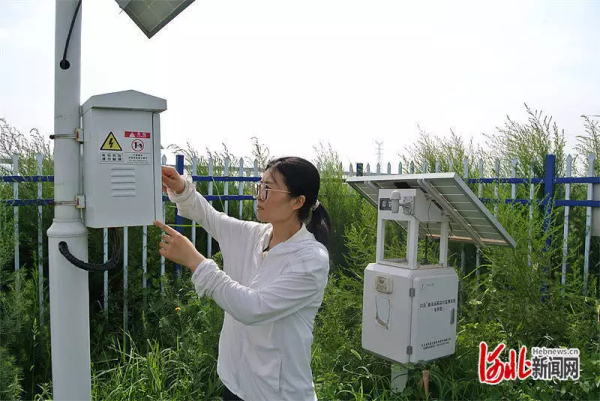 记者走基层｜盐碱地里来了“数字哨兵”