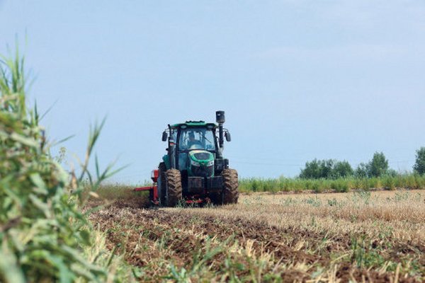 东营：盐碱地上的“金色奇迹”