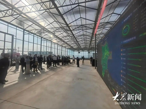 盐碱地“改写”新可能：智慧农业赋能乡村振兴