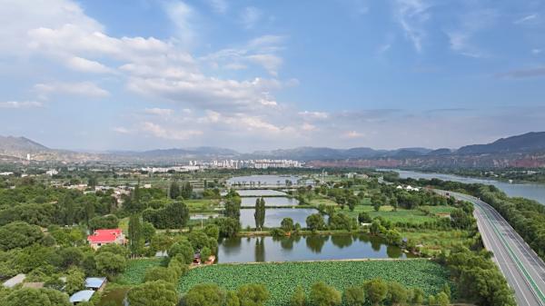 黄河边盐碱地如何“蝶变”为幸福宜居地？丨“风起黄河”调研行