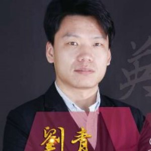 刘青美发