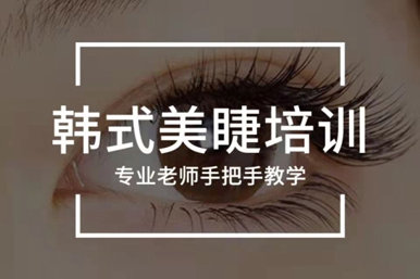 爱艺韩式美睫培训课程