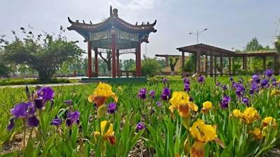 玉田县老年大学玉田职教中心分校招生简章