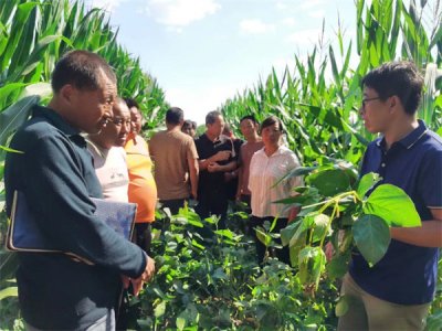 昔日优秀学员，今朝乡土专家