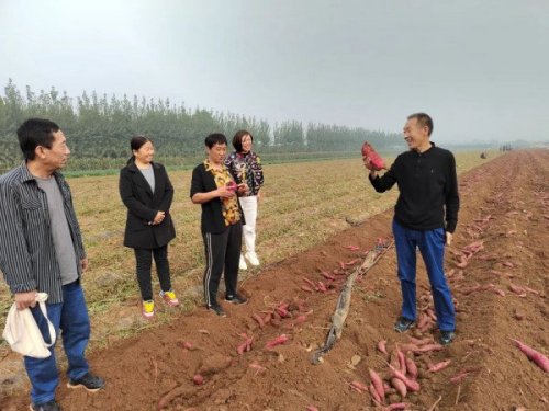 培养“种养+技术”能手，助力乡村振兴