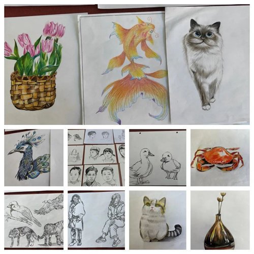 缤纷寒假欢乐多， 创意作业展硕果