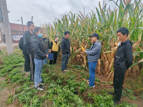 开展实地教学 夯实培训效果