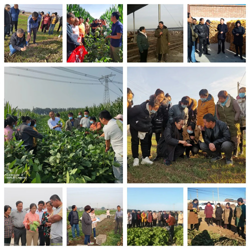 做实高素质农民培育，有力推进乡村全面振兴