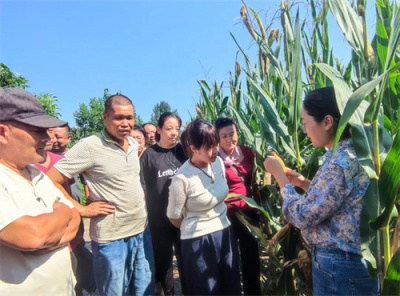 我校举办2025年高素质农民培育玉米亩产提百斤培训班