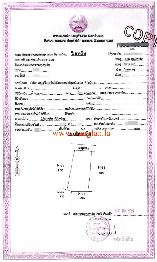 T00310
