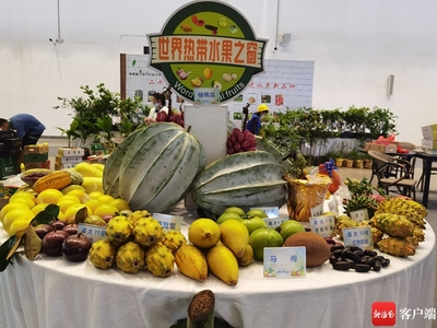 2025年2月，鹰米团队讲解器如何让世界热带水果之窗