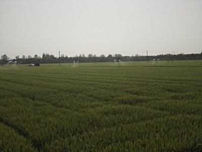 2025年4月九成畈农场用鹰米无线讲解器重塑现代农业参观体验